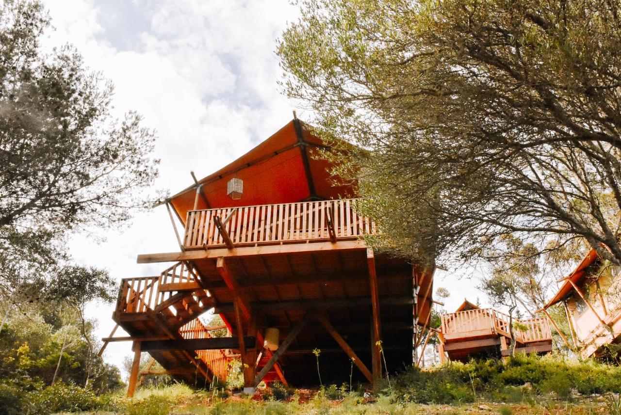 Campsite Eco Camp - Sustainable & Glamping *