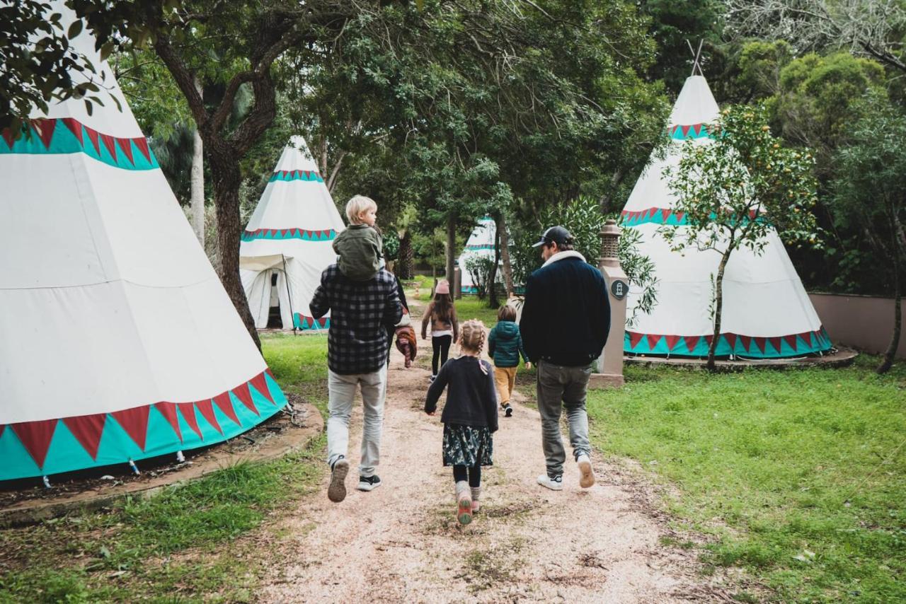 Eco Camp - Sustainable & Glamping Campsite
