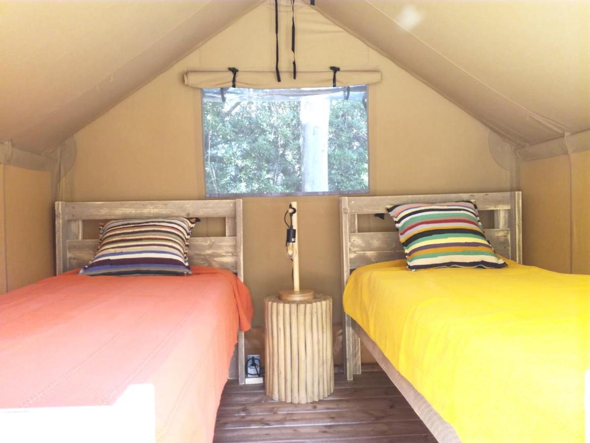 Eco Camp - Sustainable & Glamping *