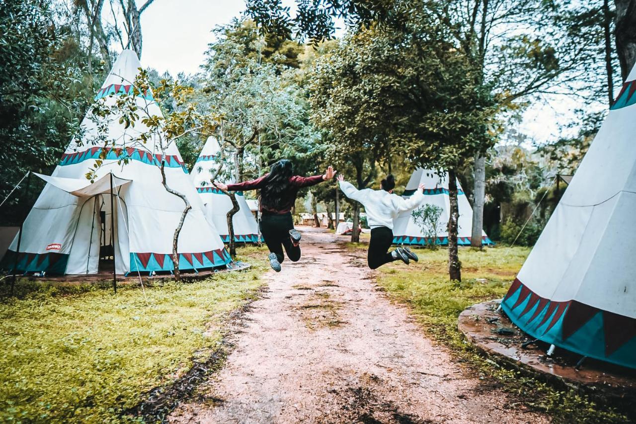Eco Camp - Sustainable & Glamping *