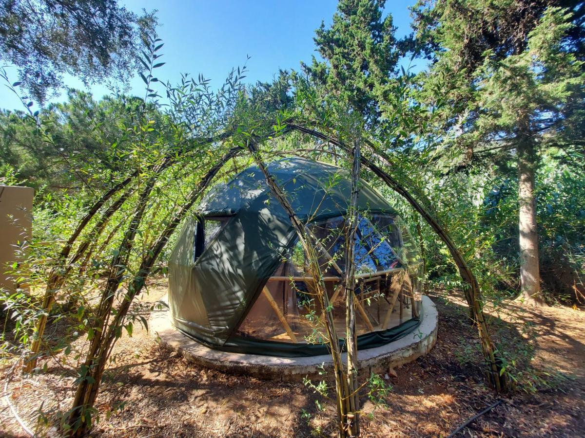 Eco Camp - Sustainable & Glamping * Salema
